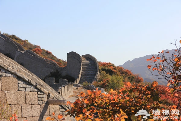 八达岭国家森林公园