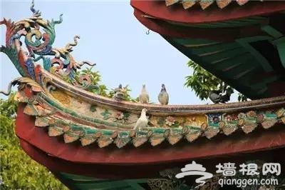 个园
