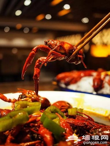 夜猫子的深夜食堂！最接地气的美味[墙根网]