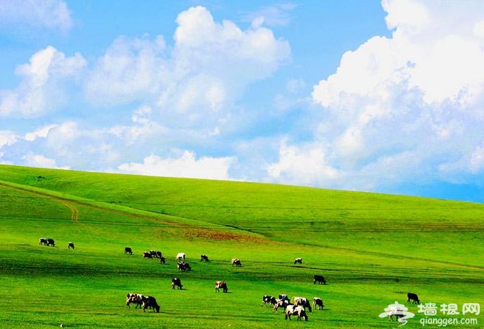 丰宁京北第一草原