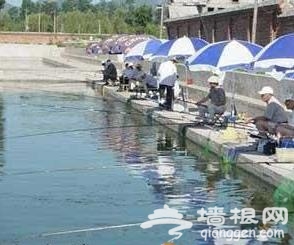 王兰庄鱼坑