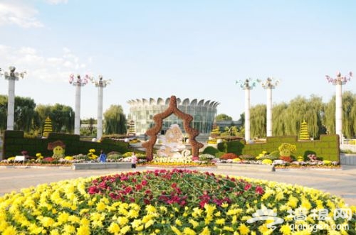 世界花卉大观园艺菊展(0)