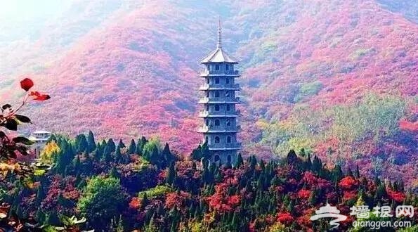 东北最美高铁国庆前通车！一站一景，攻略已出！[墙根网]