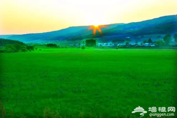 东北最美高铁国庆前通车！一站一景，攻略已出！[墙根网]