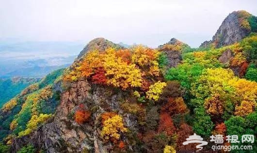 东北最美高铁国庆前通车！一站一景，攻略已出！[墙根网]