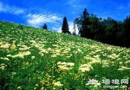 东北最美高铁国庆前通车！一站一景，攻略已出！[墙根网]
