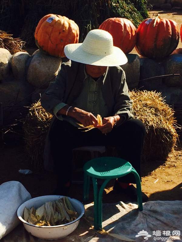 密云县溪翁庄镇金叵罗村举办第二届开镰节[墙根网]
