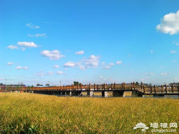 田园风光