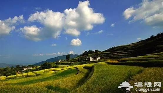 自驾赏美景