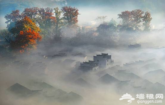 景区