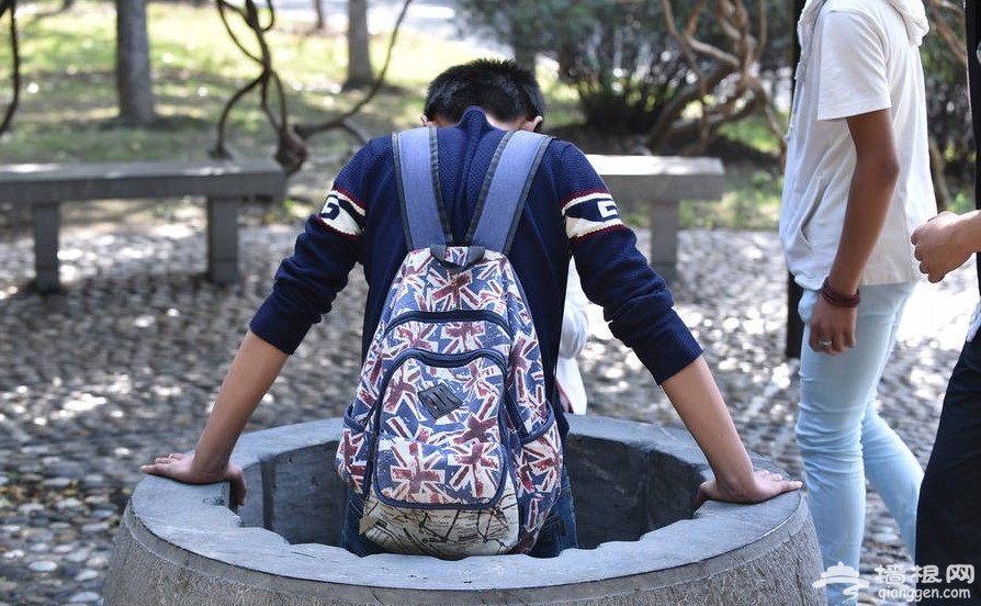 国庆长假不文明行为 女子奋力跨栏买票[墙根网]