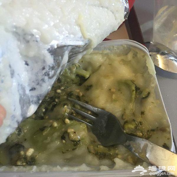 网友吐槽飞机餐：真把翔端上餐桌了（图）
