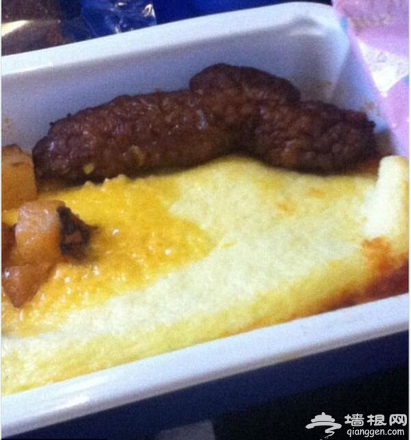 网友吐槽飞机餐：真把翔端上餐桌了（图）