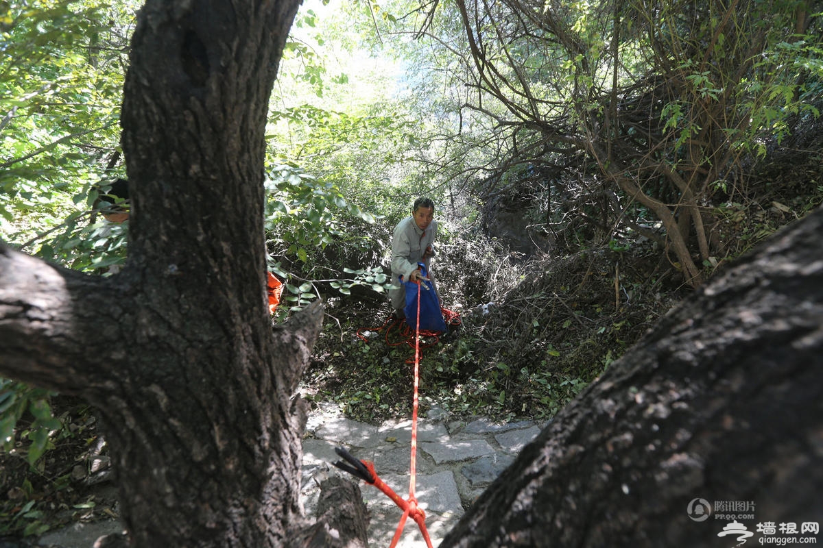 北京香山“蜘蛛人”环卫工 日拾垃圾15小时[墙根网]