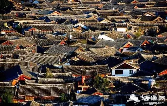 中国最黑的9个旅游景点骗局，千万要注意[墙根网]