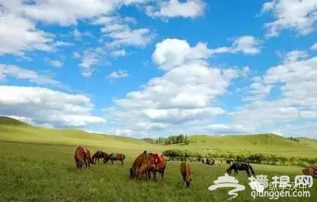 中国最黑的9个旅游景点骗局，千万要注意[墙根网]