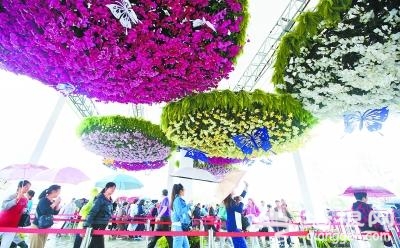 2015第四届中国兰花大会明闭幕