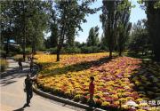 金秋十月去赏花 北京植物园第23届市花展