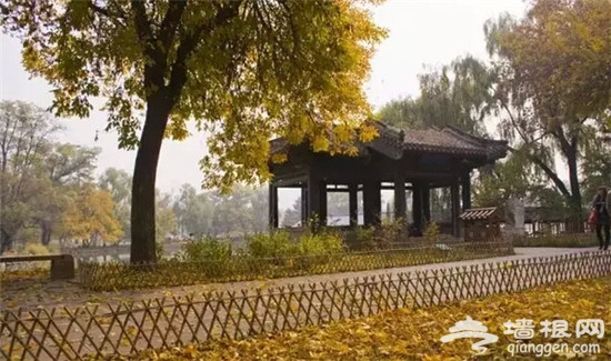 追寻中国最美的秋色木兰天路