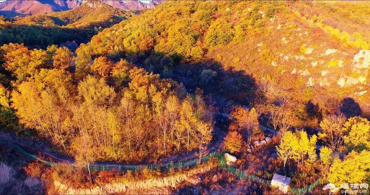 航拍京郊壮丽秋景 万山红遍层林尽染[墙根网]