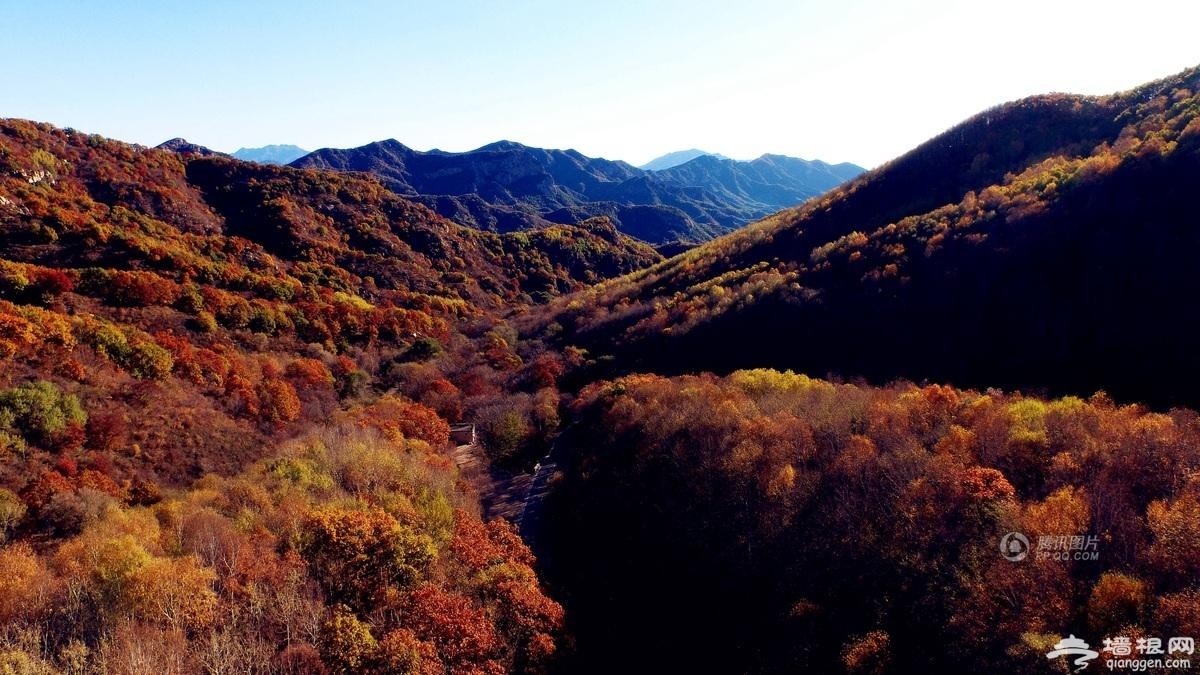 航拍京郊壮丽秋景 万山红遍层林尽染[墙根网]