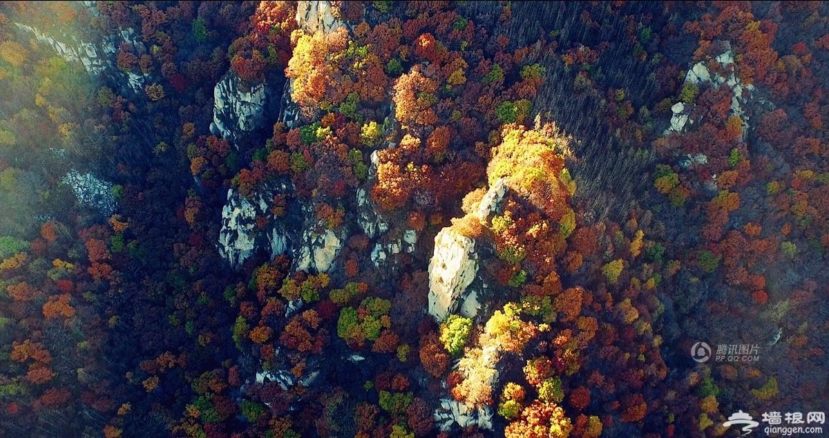 航拍京郊壮丽秋景 万山红遍层林尽染[墙根网]