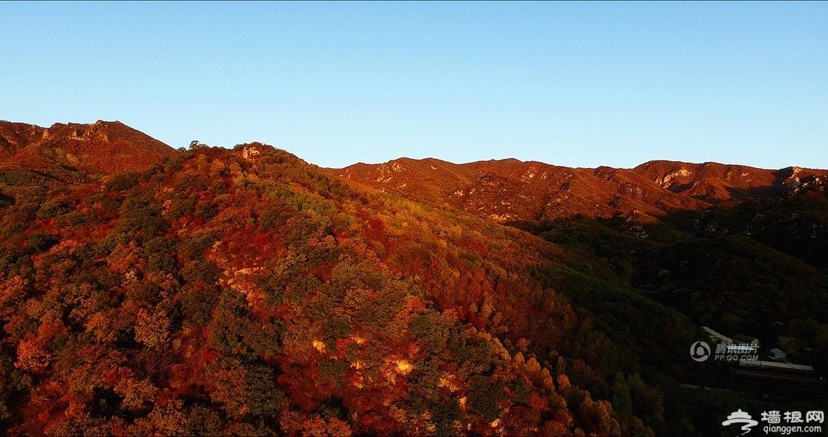航拍京郊壮丽秋景 万山红遍层林尽染[墙根网]