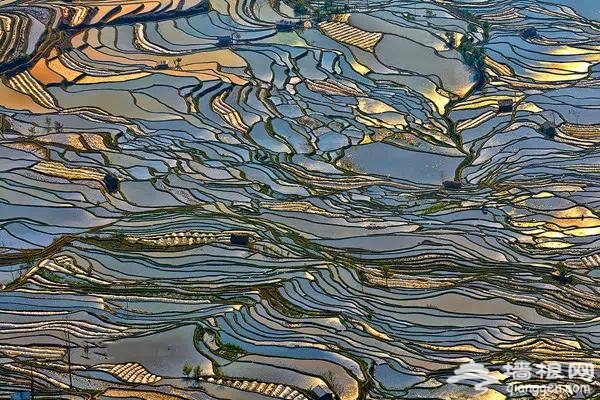 秀美景色