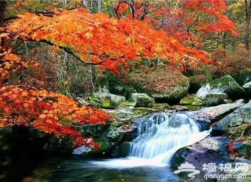 天桥沟