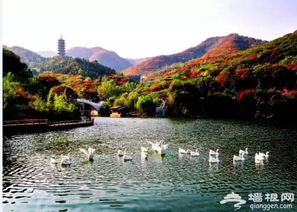 济南红叶谷