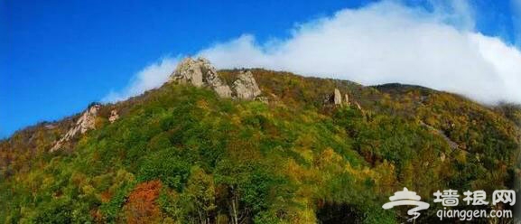 五龙头景区