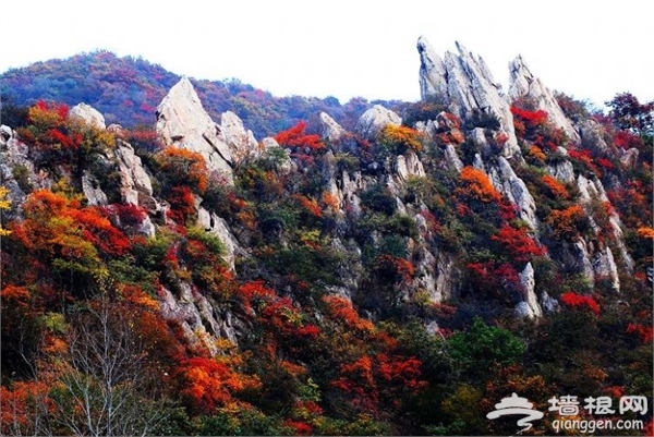秋高气爽，石家庄周边最美秋季登山好去处有哪些[墙根网]
