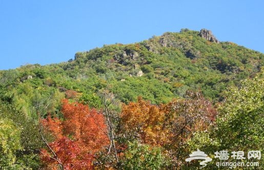 九九重阳节 北京哪些山适合登高？[墙根网]