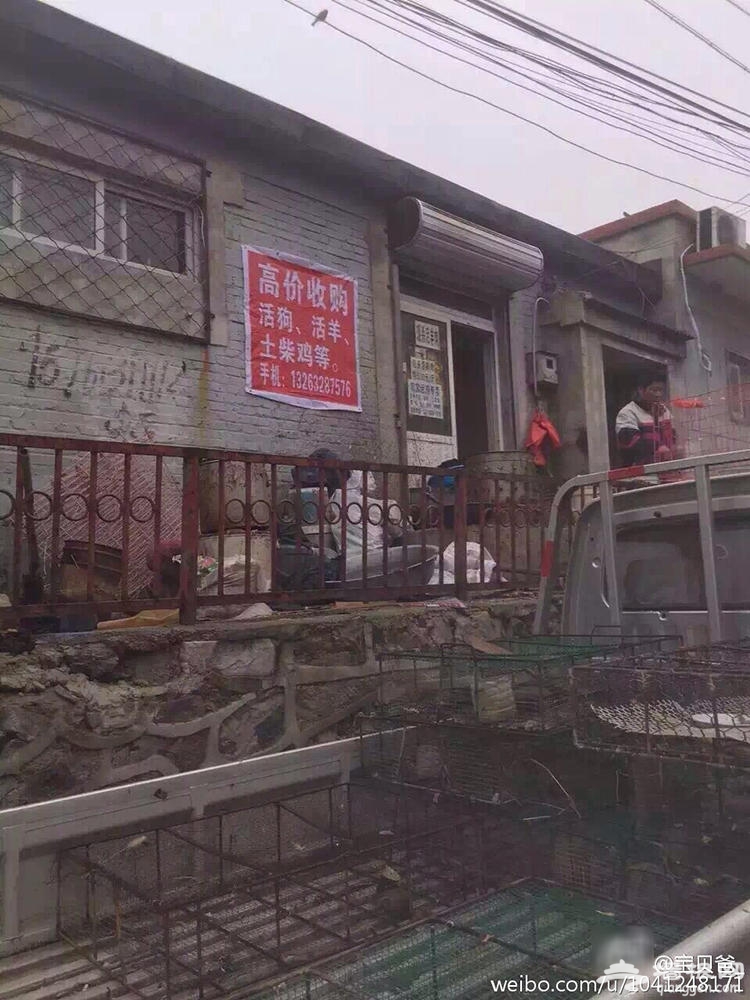 石景山一店铺当街宰杀活狗活禽[墙根网]