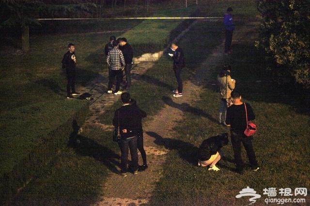 陕西宝鸡夜跑女老师被害案告破 嫌犯系拾荒者