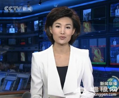 网友评“中国11大光棍职业” 歌手诗人上榜 央视《新闻联播》主持人李梓萌高居“2015中国11大光棍名人”榜首