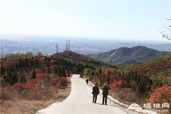 北京看红叶的地方 2015西山国家森林公园红叶节[墙根网]
