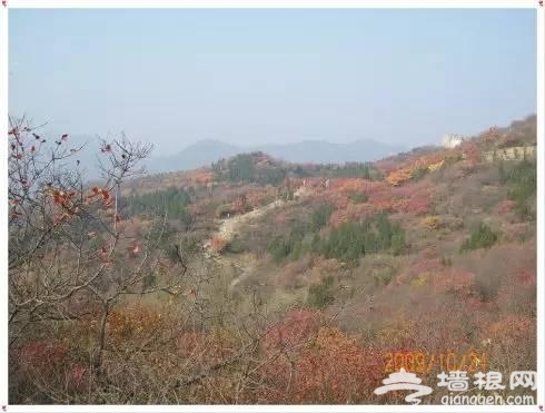 坐地铁去拍北京最美秋天