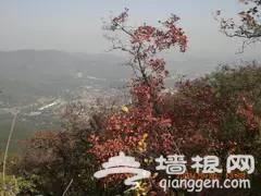 坐地铁去拍北京最美秋天