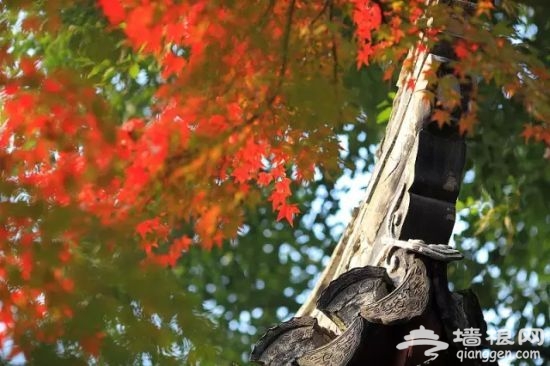 点击图片进入下一页