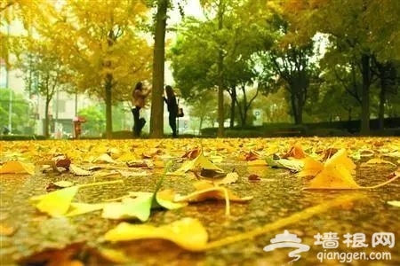 点击图片进入下一页