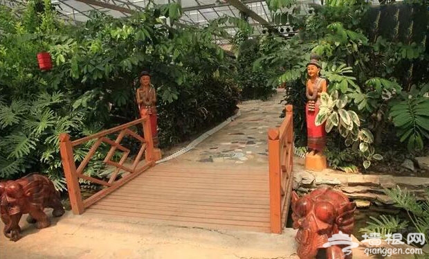 呀路古热带植物园
