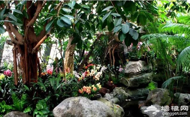北京植物园展览温室