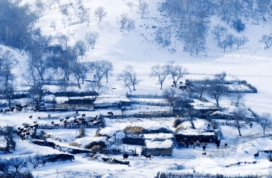 北京周边冬季哪好玩?河北省或石家庄周边赏雪的好地方有哪些?[墙根网]