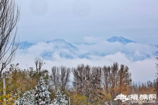 北京延庆冬奥赛区降下全市最大雪量[墙根网]