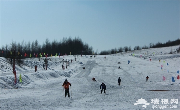 石家庄冬季去哪玩 石家庄周边滑雪场推荐[墙根网]