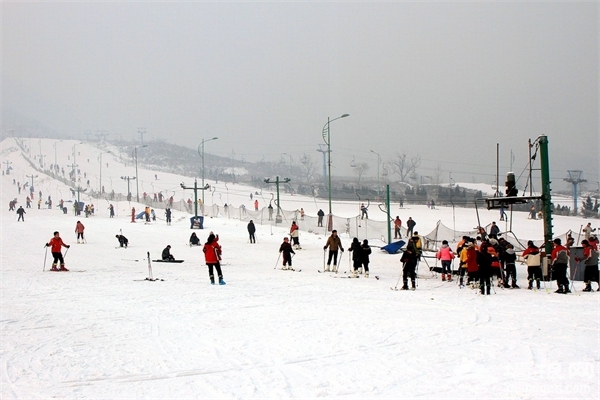 石家庄冬季去哪玩 石家庄周边滑雪场推荐[墙根网]