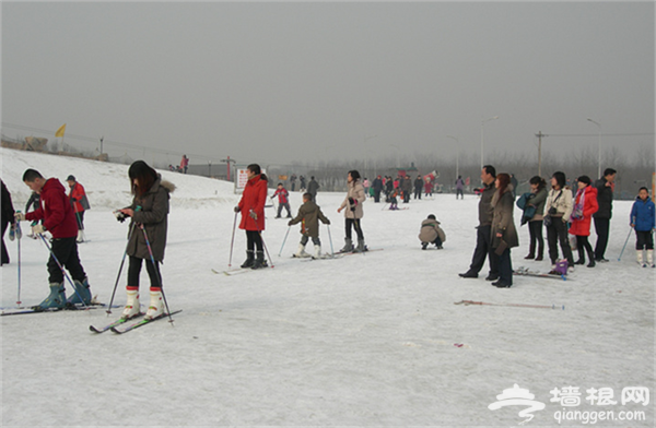 石家庄冬季去哪玩 石家庄周边滑雪场推荐[墙根网]