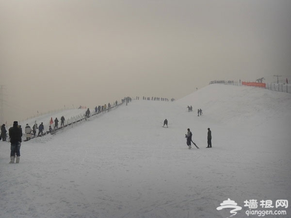 石家庄冬季去哪玩 石家庄周边滑雪场推荐[墙根网]