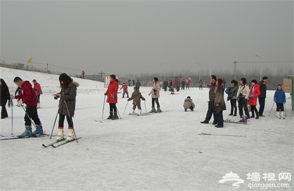 石家庄冬季去哪玩 石家庄周边滑雪场推荐[墙根网]